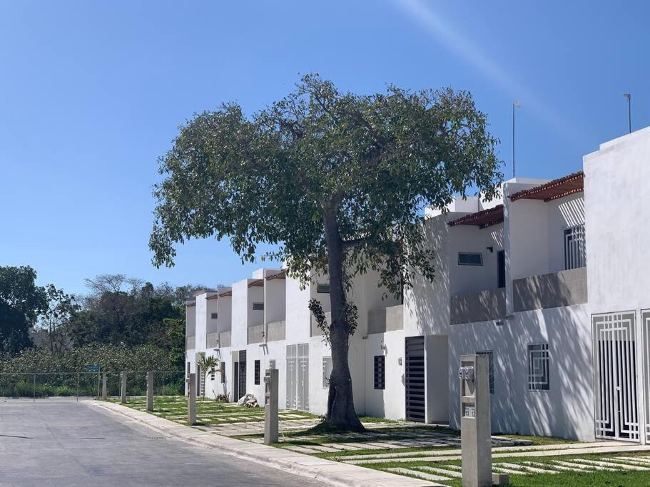 La Casa Del Arbol -4Bed 3 Bath Villa Puerto Morelos Bagian luar foto